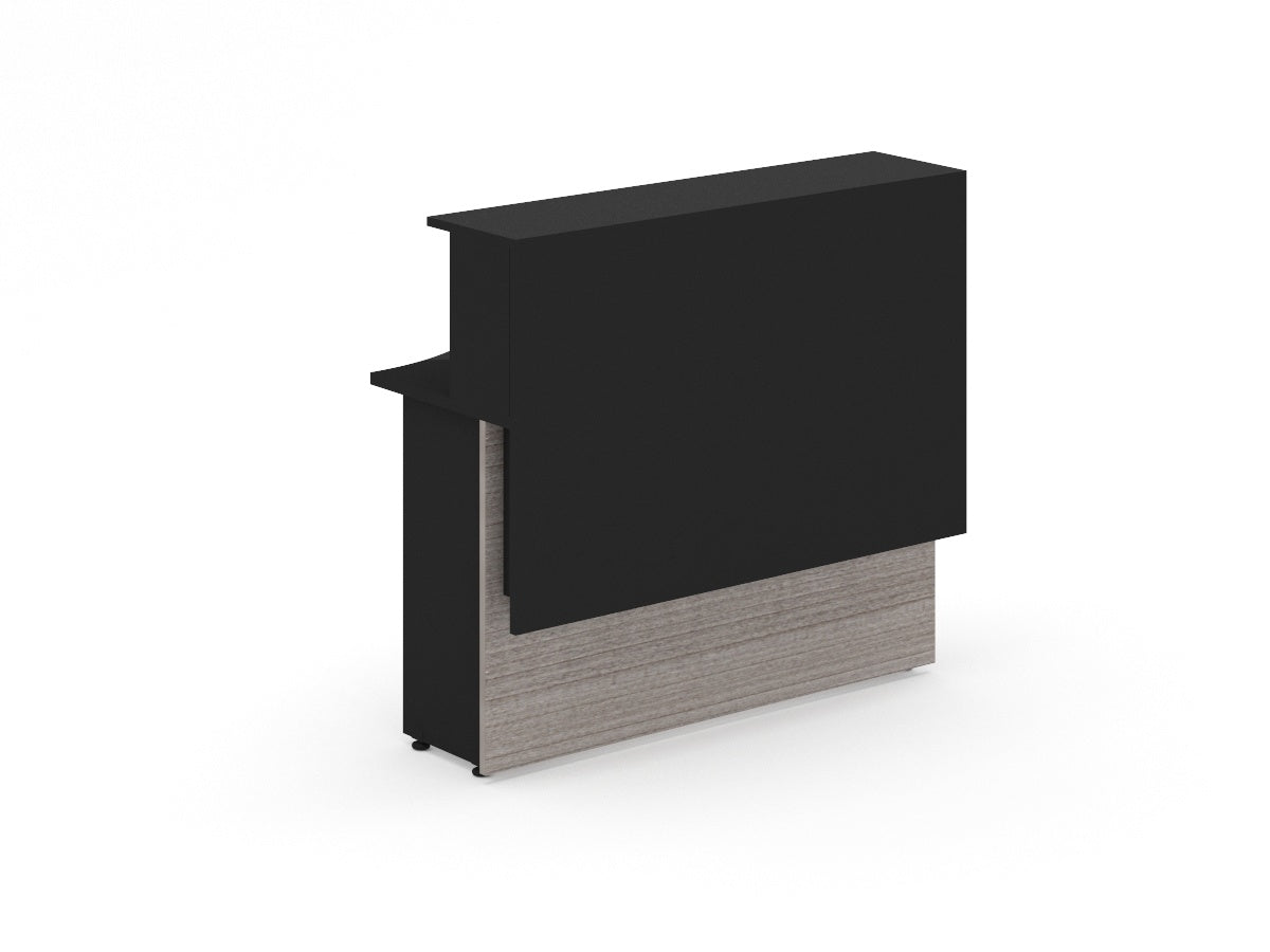 Recepción Recta REILSIM12