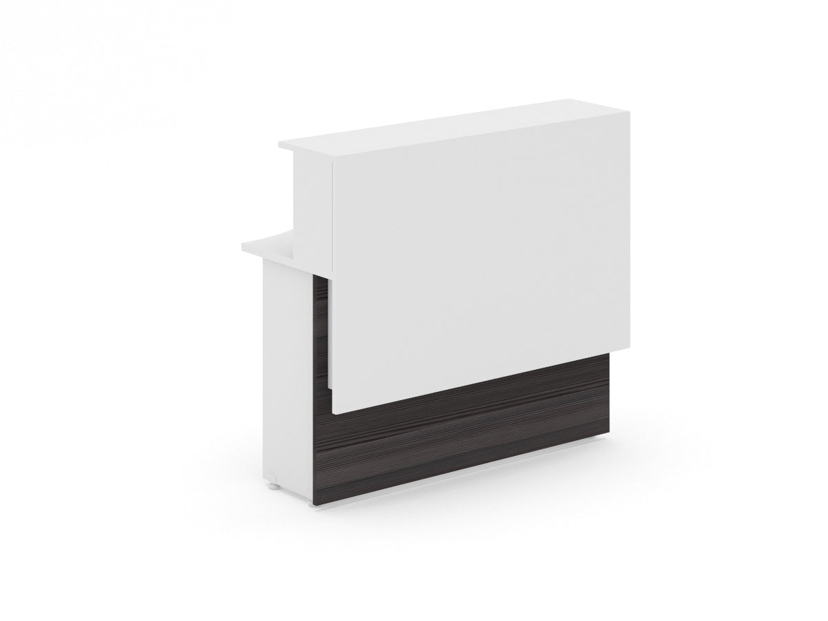 Recepción Recta REILSIM12