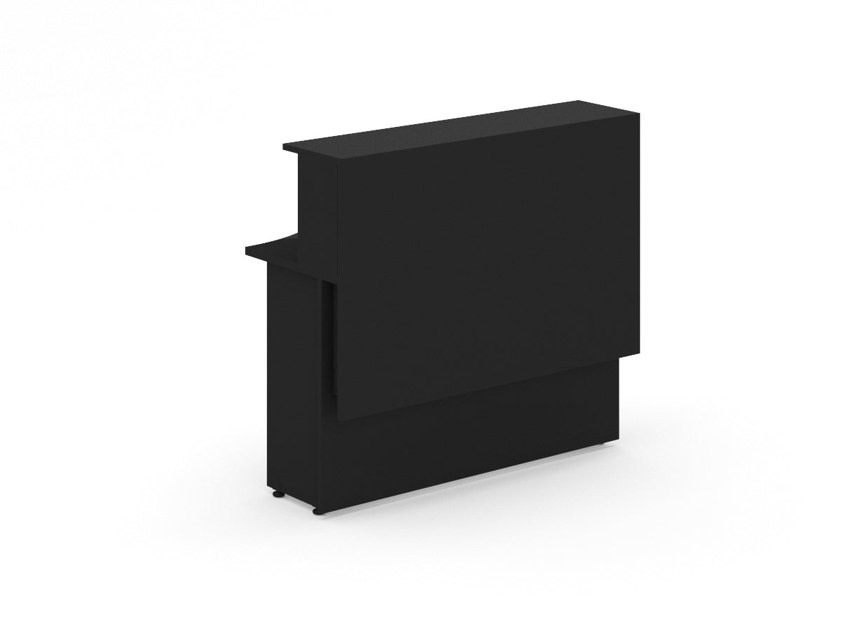 Recepción Recta REILSIM12