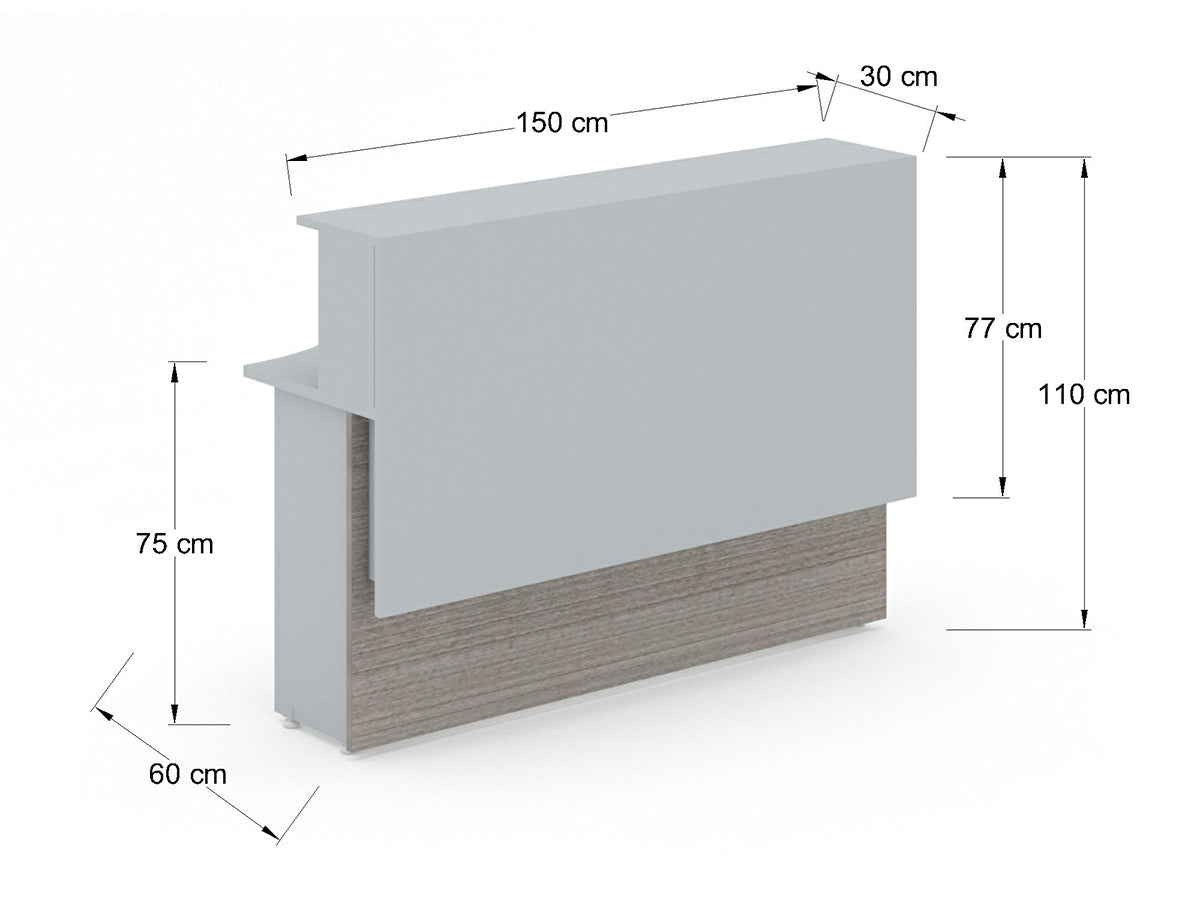 Recepción Recta REILSIM15