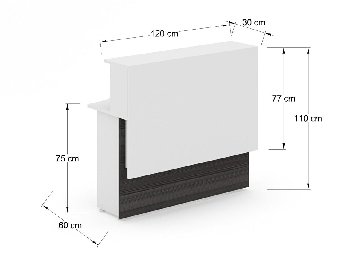 Recepción Recta REILSIM12
