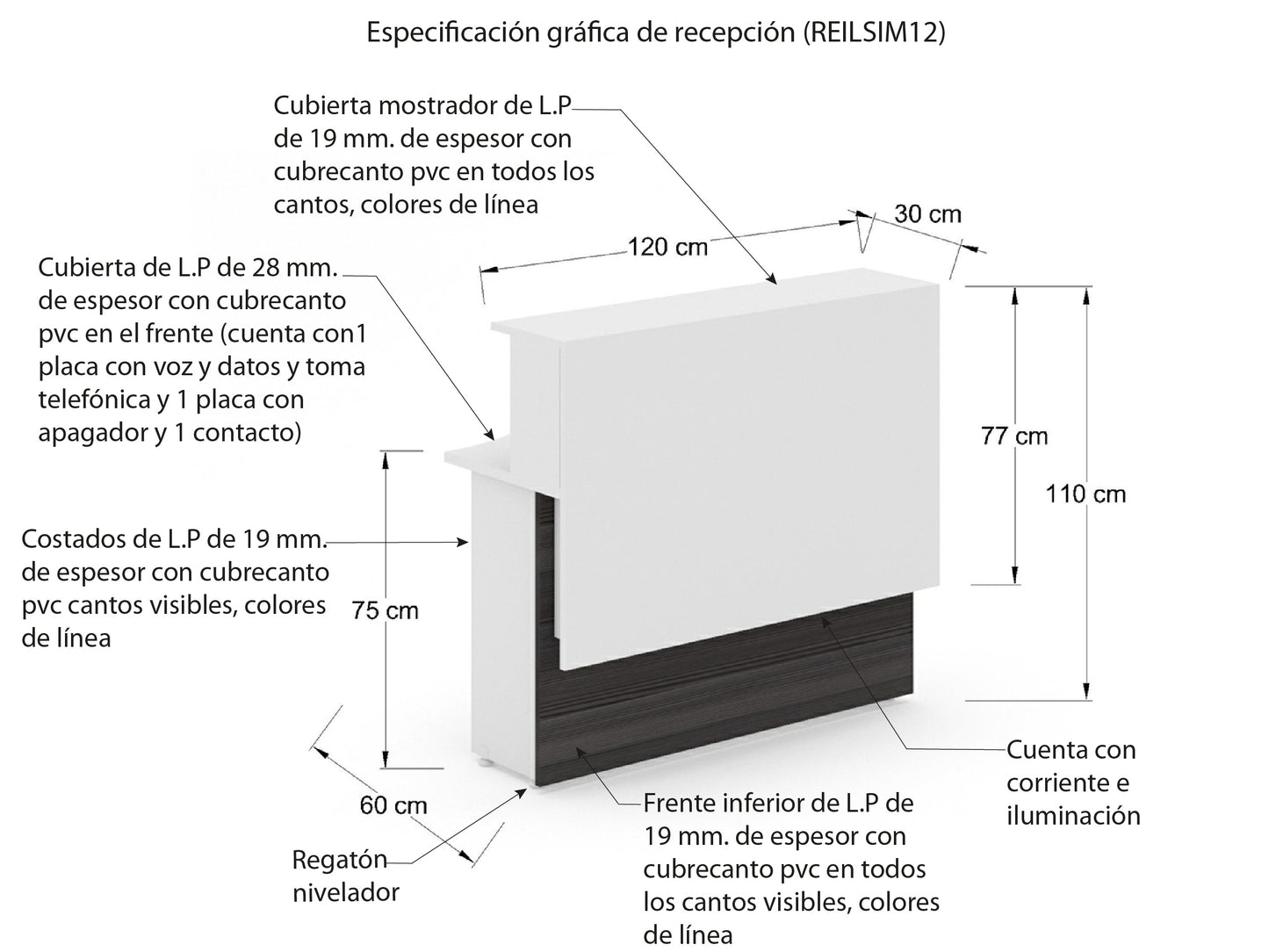 Recepción Recta REILSIM12