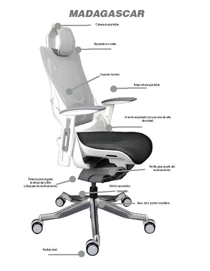 Silla Ejecutiva Premium Focus