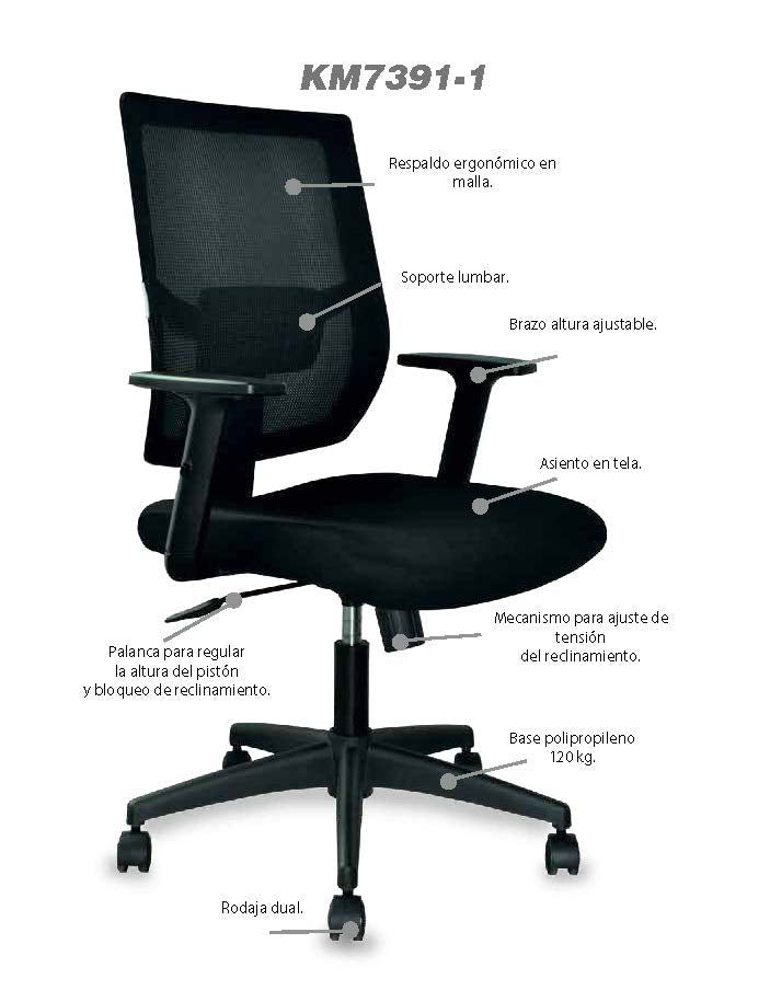 Silla Ejecutiva 7391-1
