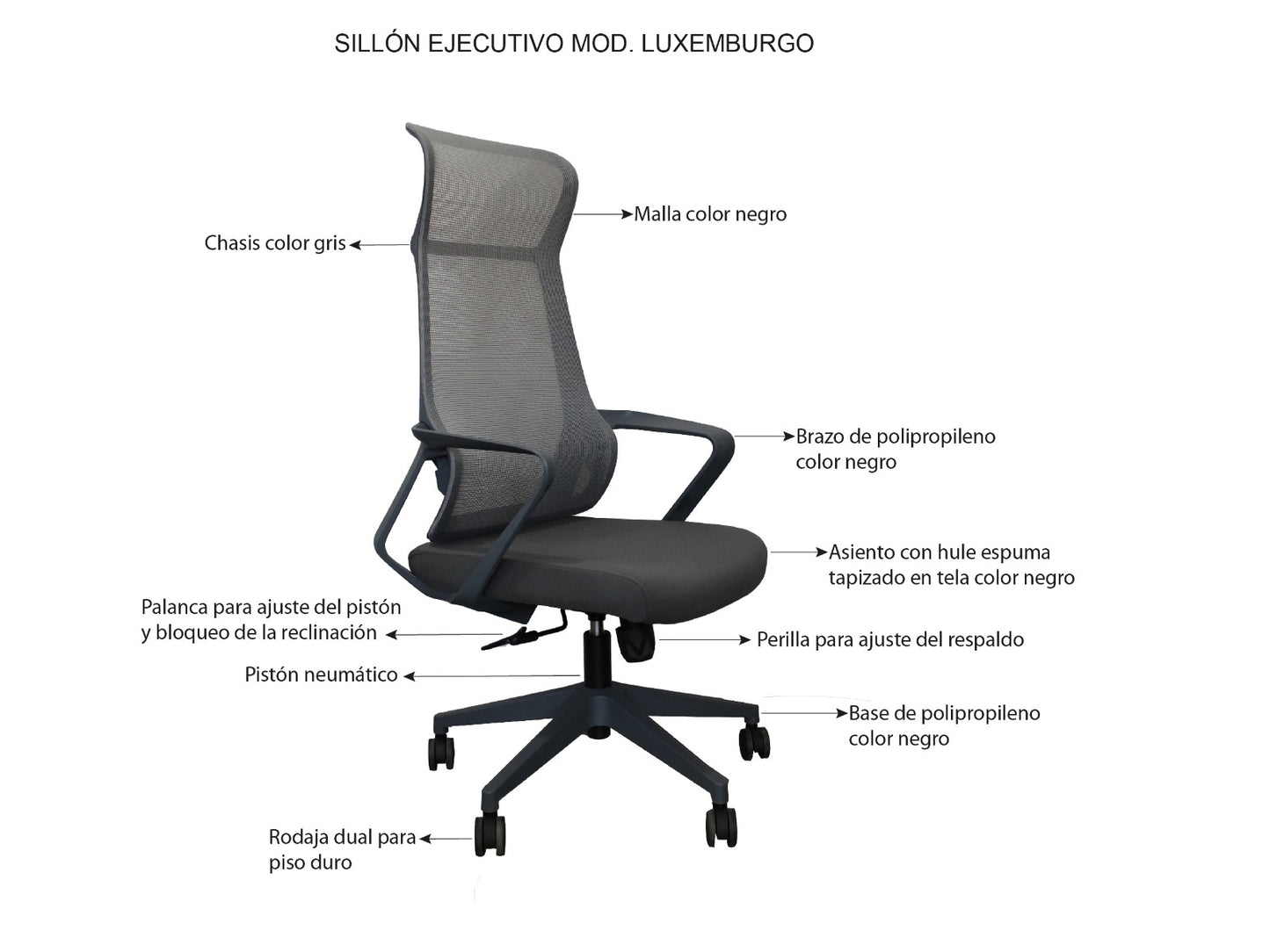 Silla Directiva Luxemburgo